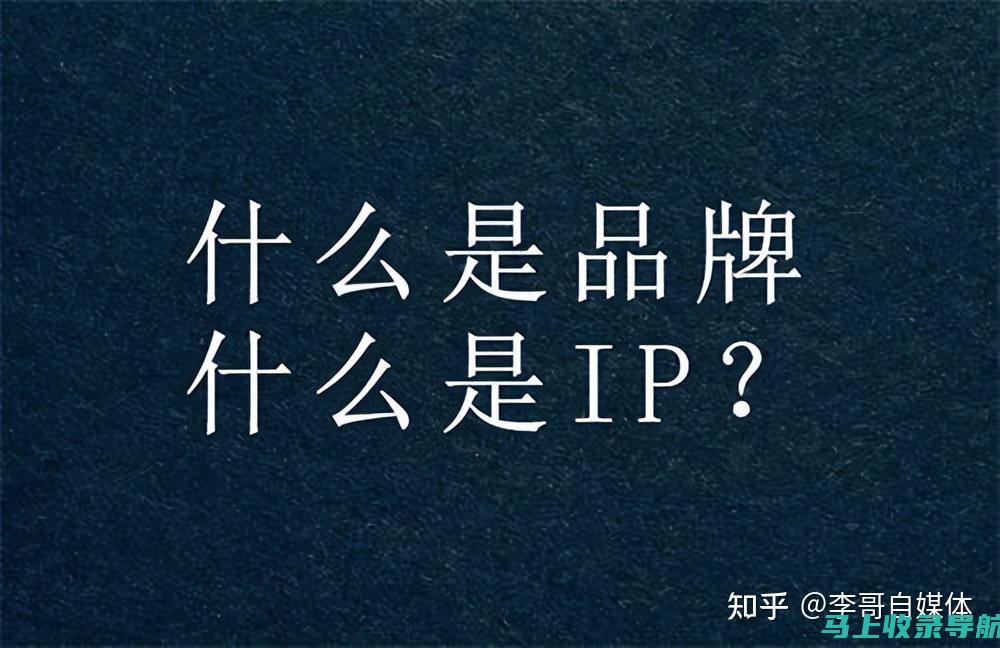 揭秘ip站长之家的成功秘诀：创新与发展的双赢之路